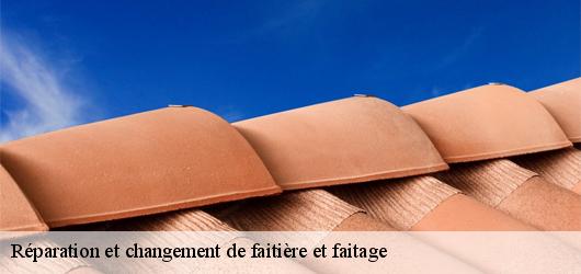 Réparation et changement de faitière et faitage