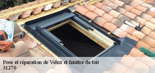 Pose et réparation de Velux et fenêtre de toit 31270