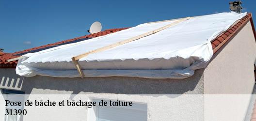 Pose de bâche et bâchage de toiture 31390
