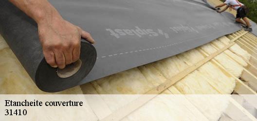 Etancheite couverture 31410