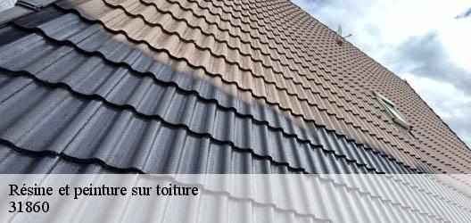 Résine et peinture sur toiture 31860