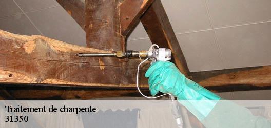 Traitement de charpente 31350