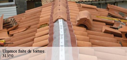 Urgence fuite de toiture 31350